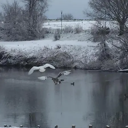 Hole6 Alojamento de Acomodação e Pequeno-almoço Castenaso