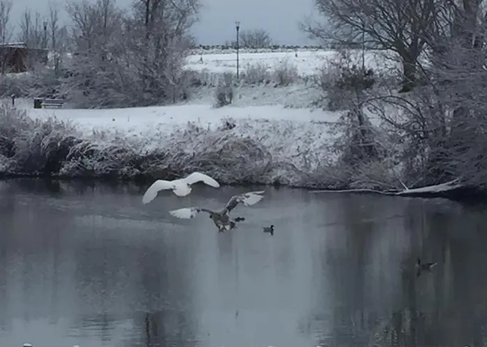 Hole6 Bed & Breakfast Castenaso